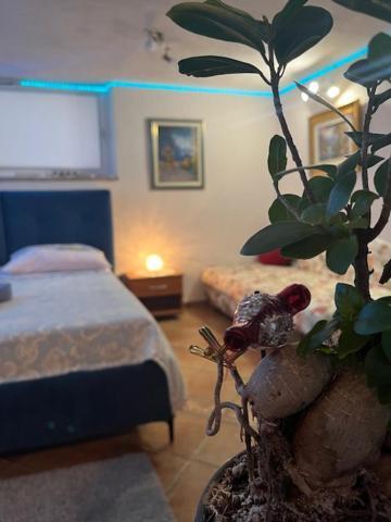 Taverna Coctel Apartmán Poreč