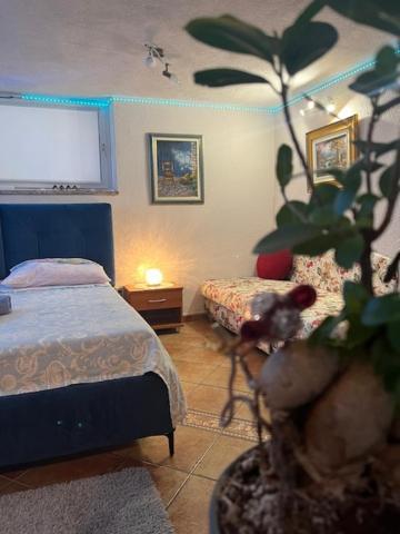 Taverna Coctel Apartmán *